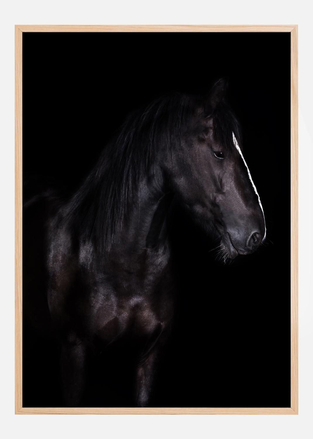 Product Image for Erika Plakat (40x50 cm)