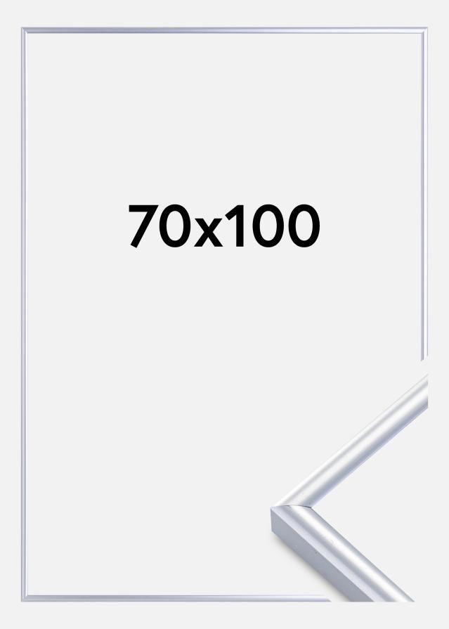 Ramme Victoria Akrylglass Sølv 70x100 cm