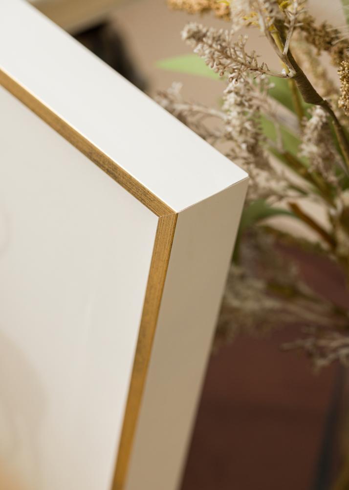 Ramme Ra Skyggeramme Hvit/Gull - Valgfri Størrelse