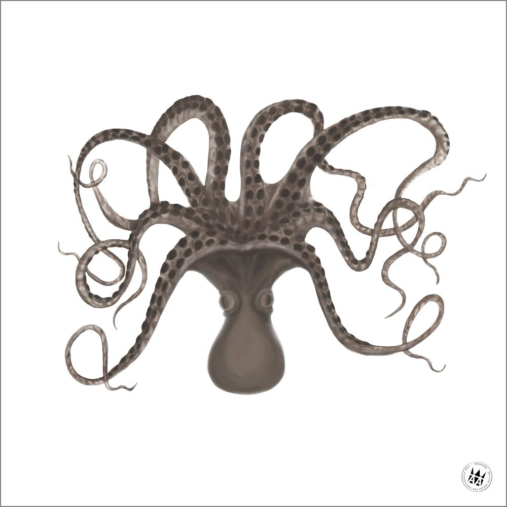 Knaada - Blekksprut - 50x50 cm