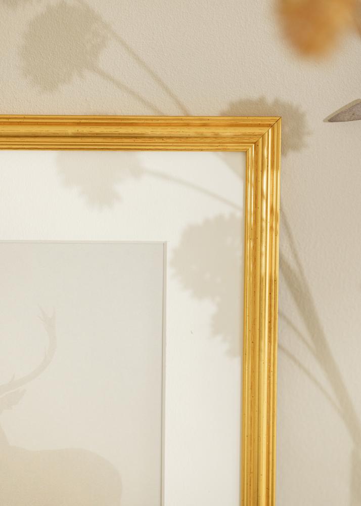 Ramme Frigg Gull 40x50 cm