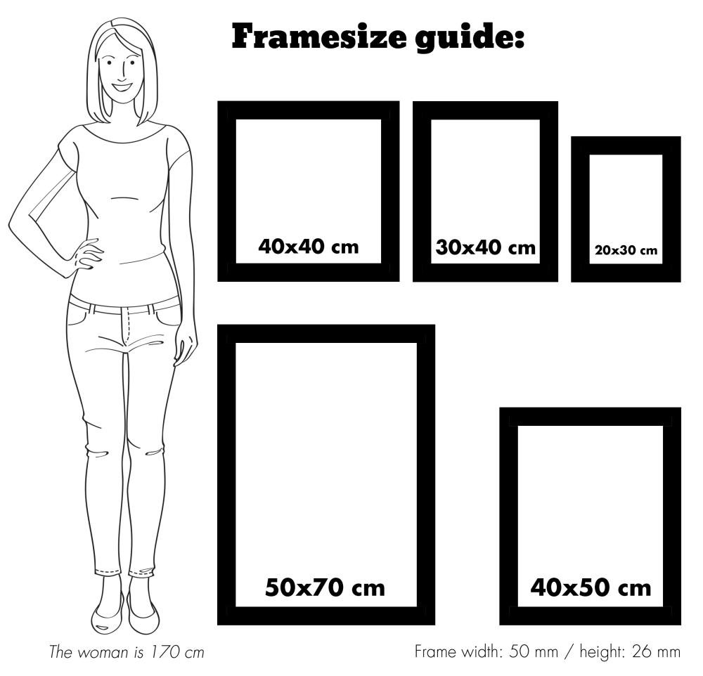 Ramme Rokoko Sølv 30x40 cm
