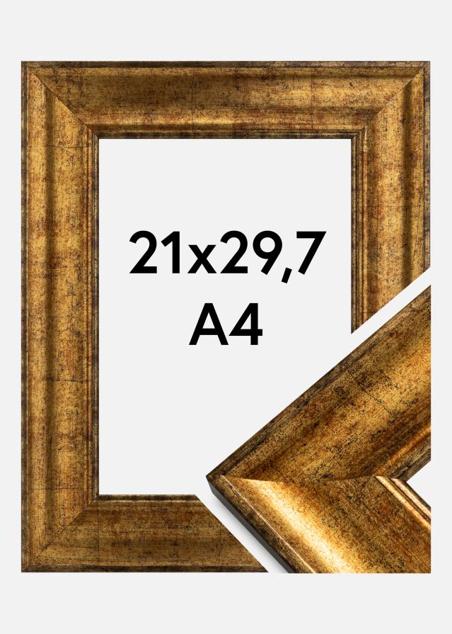 Ramme Saltsjöbaden Gull 21x29,7 cm (A4)