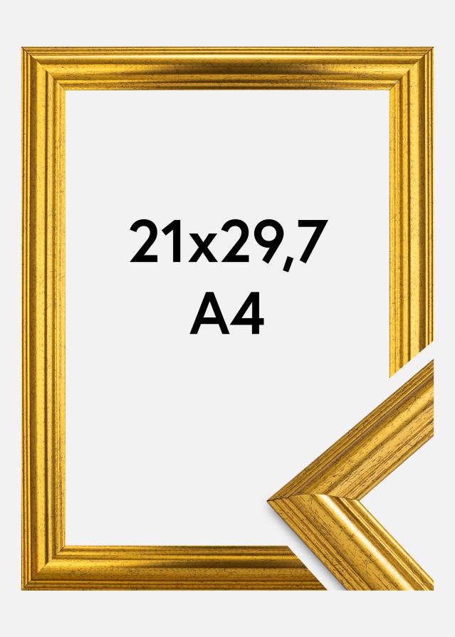Ramme Västkusten Akrylglass Gull 21x29,7 cm (A4)