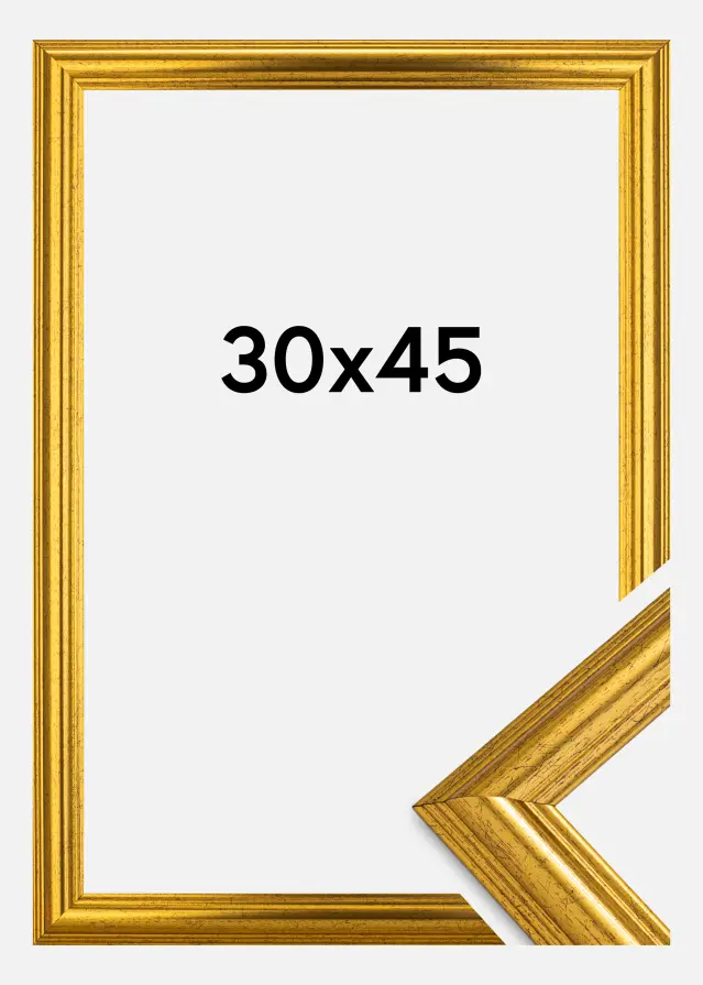 Ramme Västkusten Akrylglass Gull 30x45 cm