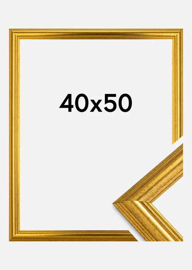 Ramme Västkusten Akrylglass Gull 40x50 cm