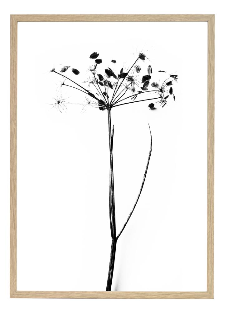 One Must Dash - I do I do I do - 50x70 cm