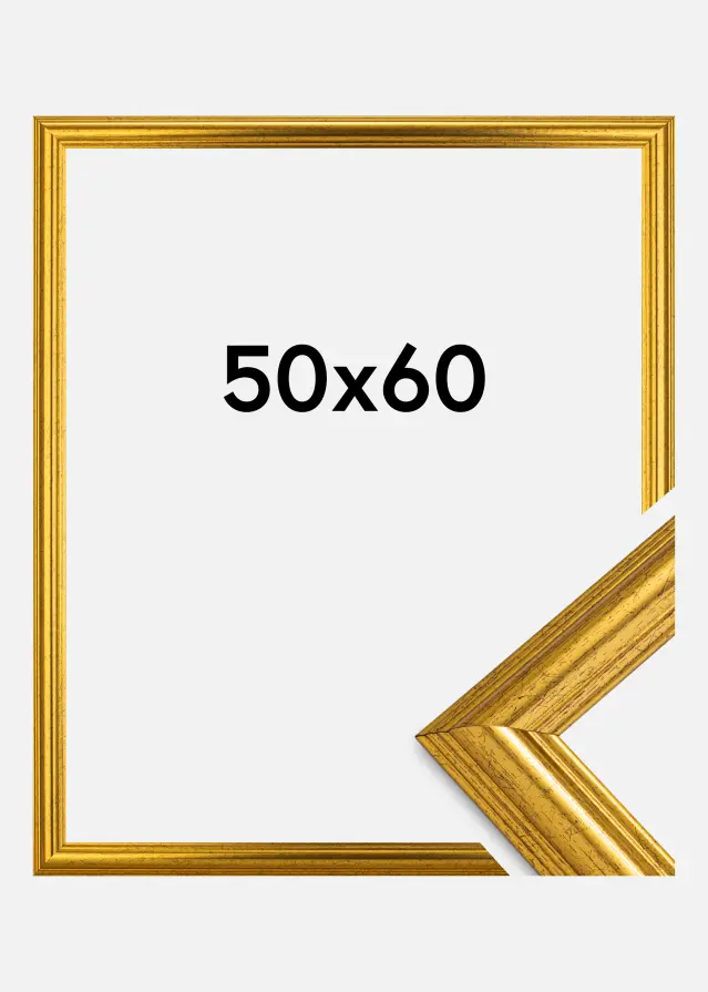Ramme Västkusten Akrylglass Gull 50x60 cm