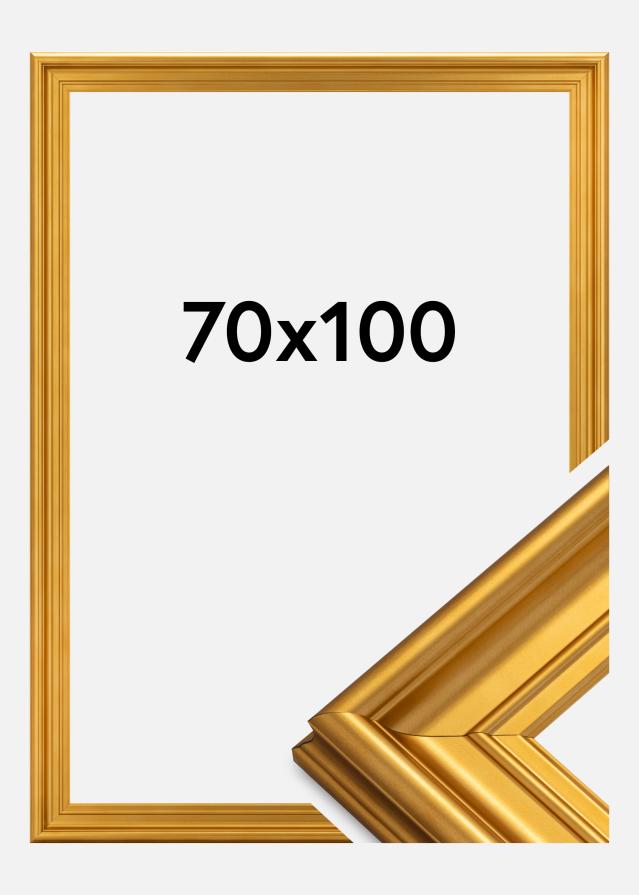 Ramme Mora Premium Gull 70x100 cm