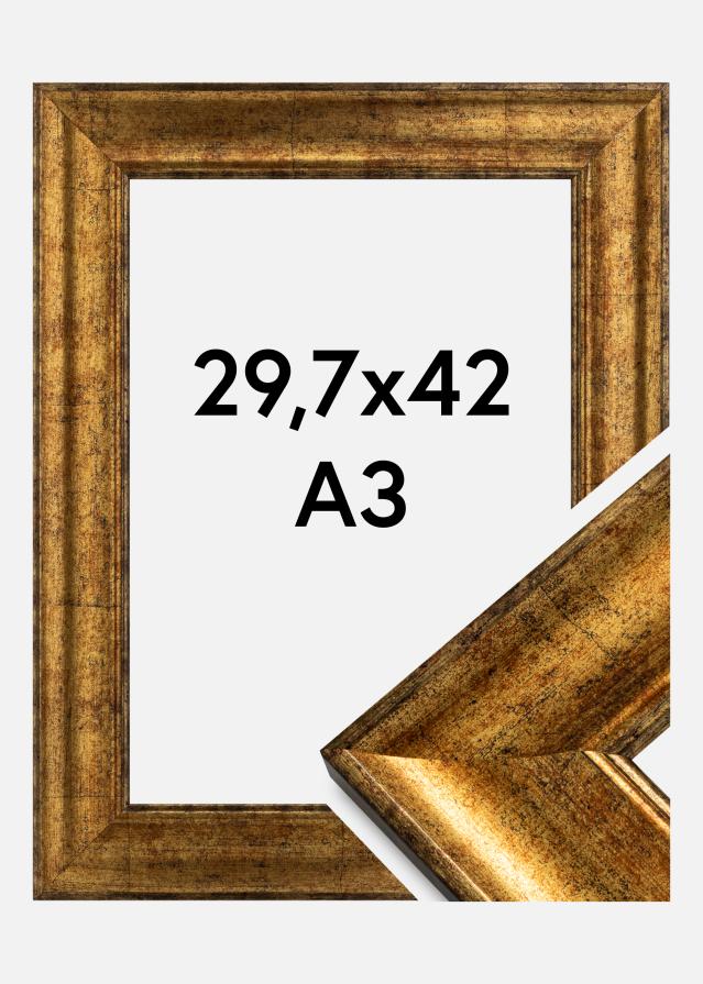 Ramme Saltsjöbaden Gull 29,7x42 cm (A3)