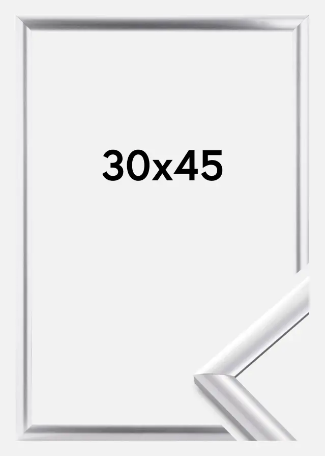 Ramme Trendstyle Sølv 30x45 cm