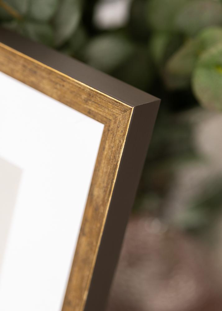 Ramme Dune Akrylglass Gull 21x29,7 cm (A4)