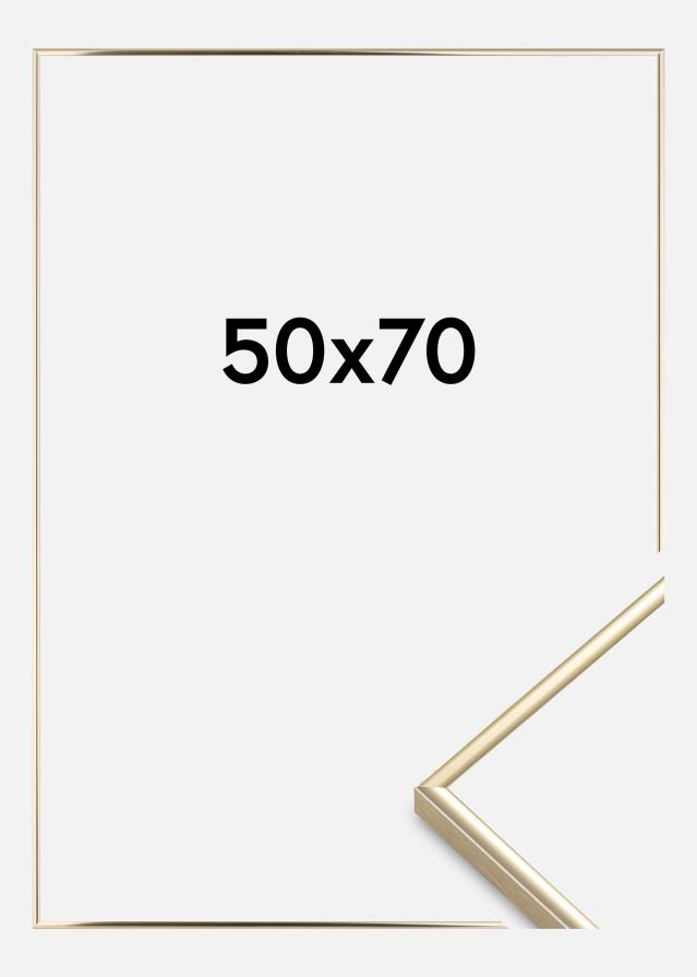Ramme Visby Akrylglass Blank Gull 50x70 cm
