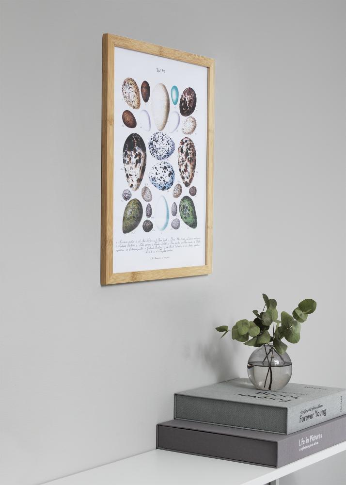 Ramme Hoei Bambus Akrylglass 70x100 cm