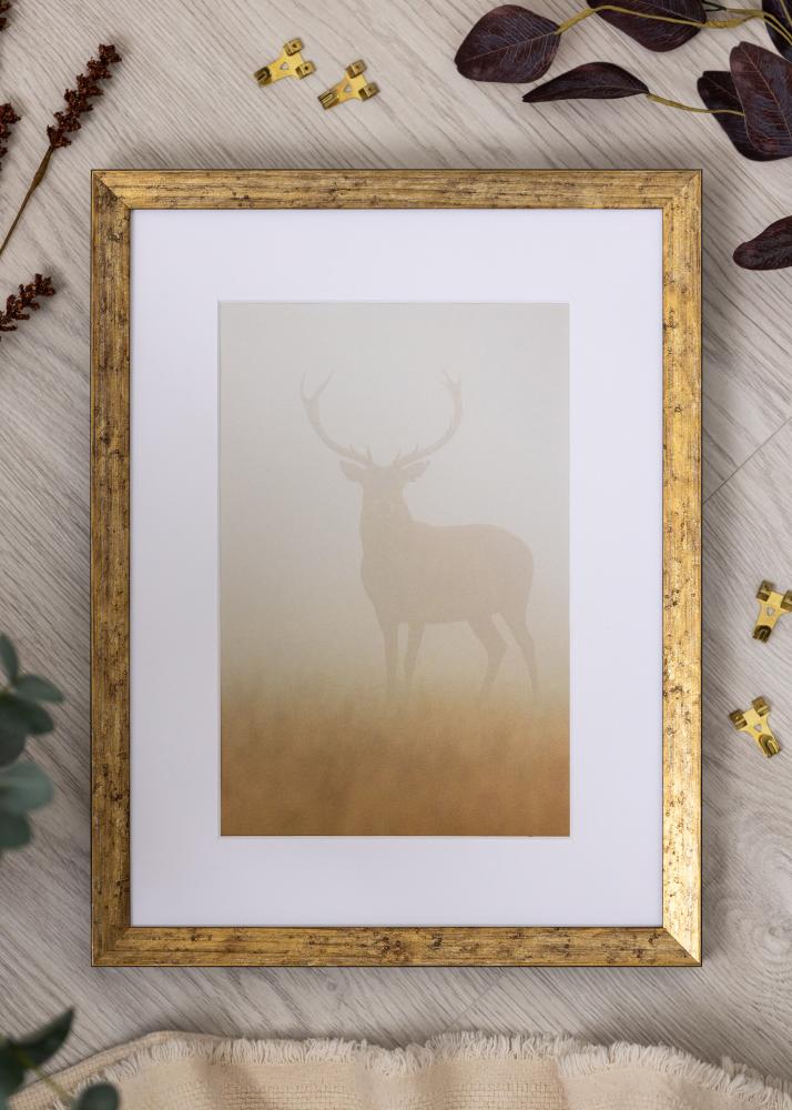 Ramme Dune Akrylglass Gull 21x29,7 cm (A4)