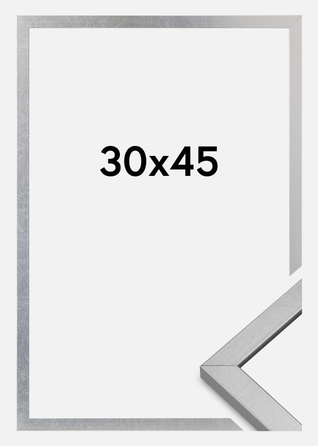 Ramme Minerva Akrylglass Sølv 30x45 cm