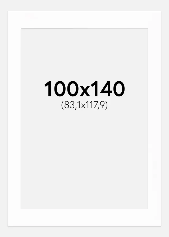 Passepartout Canson Hvit (Hvit kjerne) 100x140 cm (83,1x117,9)