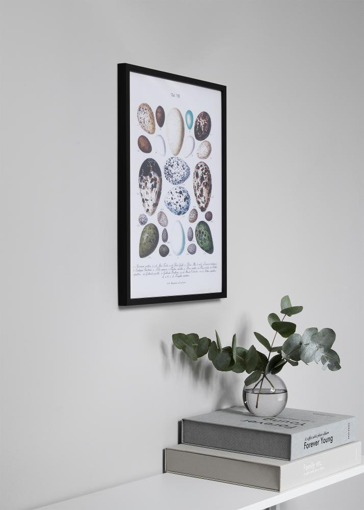 Ramme Oslo Svart 13x18 cm - Passepartout Svart 9x13 cm