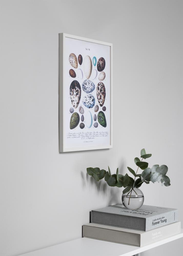 Ramme Oslo Hvit 40x50 cm - Passepartout Svart 27,5x37 cm