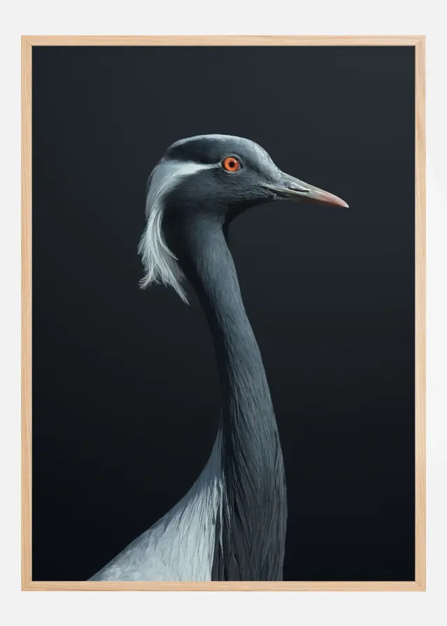 La Demoiselle Plakat