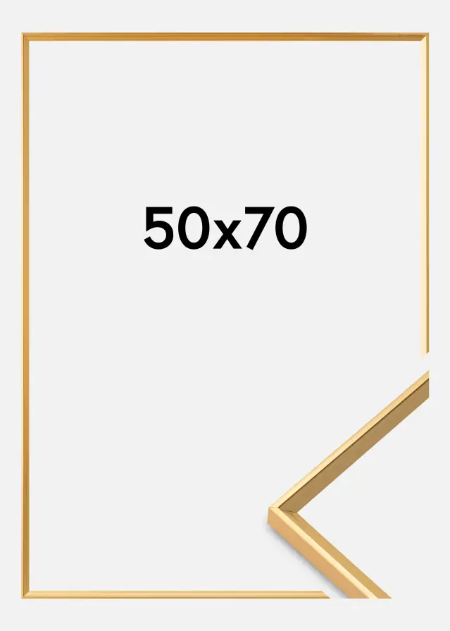 Ramme Desire Akrylglass Gull 50x70 cm