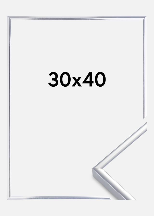 Ramme Aluminium Akrylglass Blank Sølv 30x40 cm