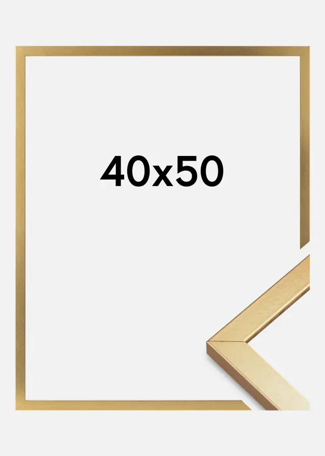 Ramme Minerva Akrylglass Gull 40x50 cm