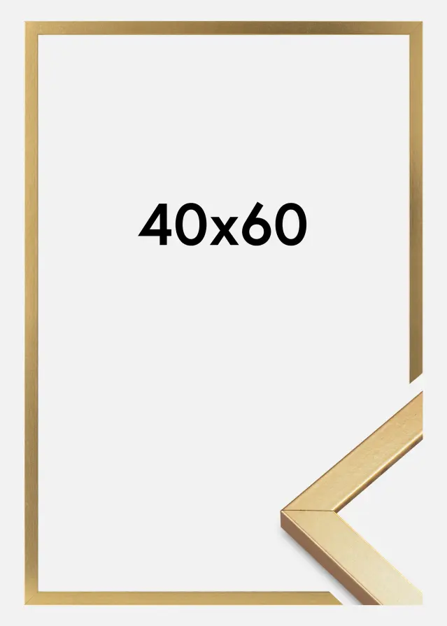 Ramme Minerva Akrylglass Gull 40x60 cm