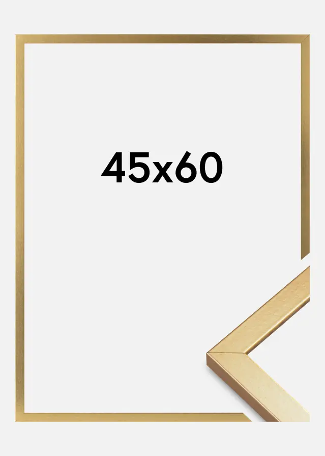 Ramme Minerva Akrylglass Gull 45x60 cm