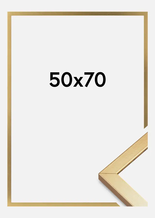 Ramme Minerva Akrylglass Gull 50x70 cm