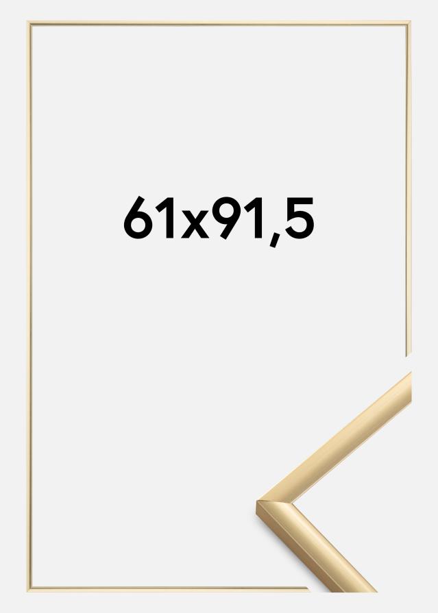 Ramme New Lifestyle Akrylglass Gull 61x91,5 cm