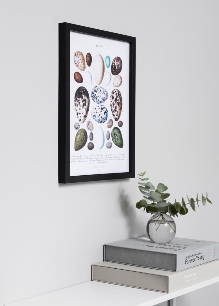 Ramme Exklusiv Svart 40x50 cm