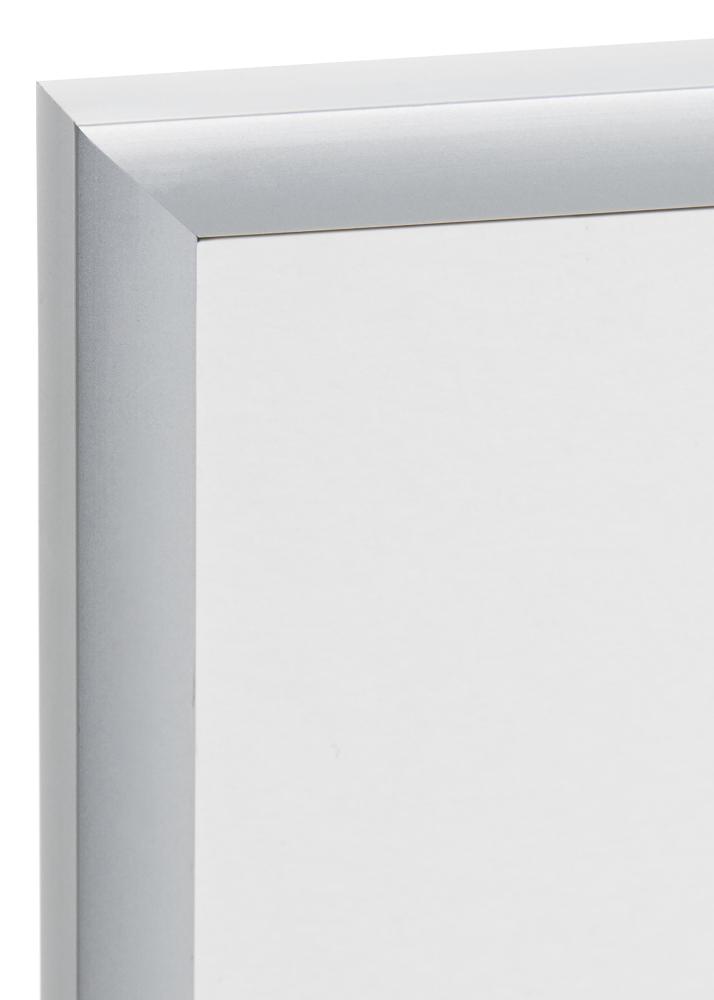 Ramme Expo Matt Antirefleksglass Sølv 20x25 cm