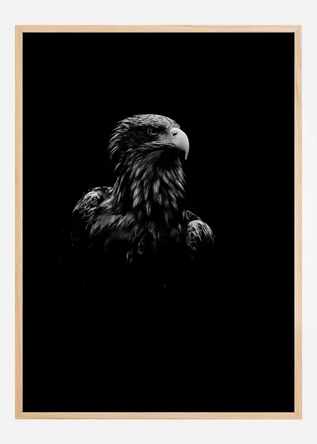 Black Eagle Plakat