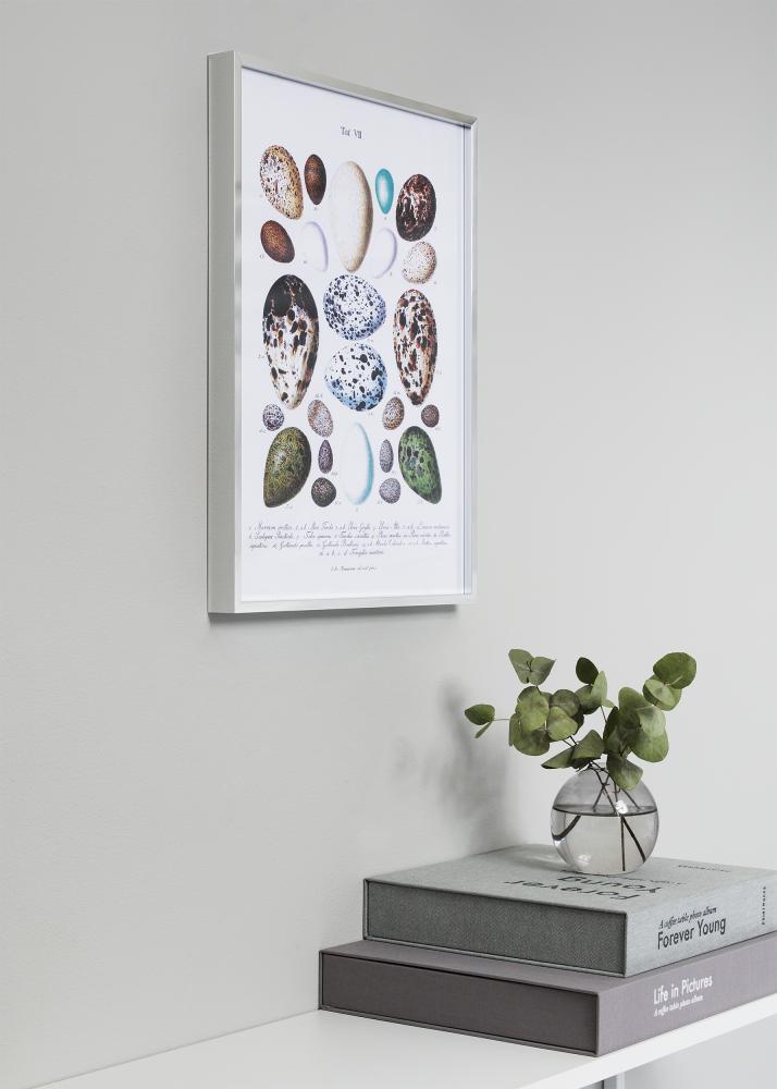 Ramme Nielsen Premium Alpha Blank Sølv 50x60 cm