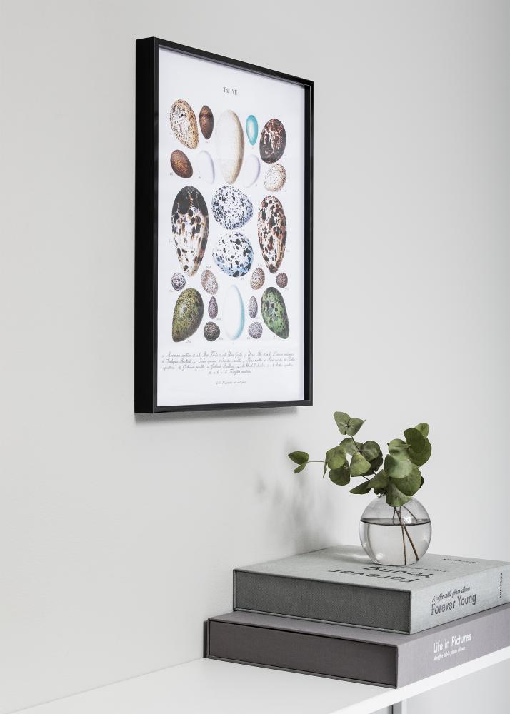 Ramme Nielsen Premium Alpha Blank Svart 70x90 cm