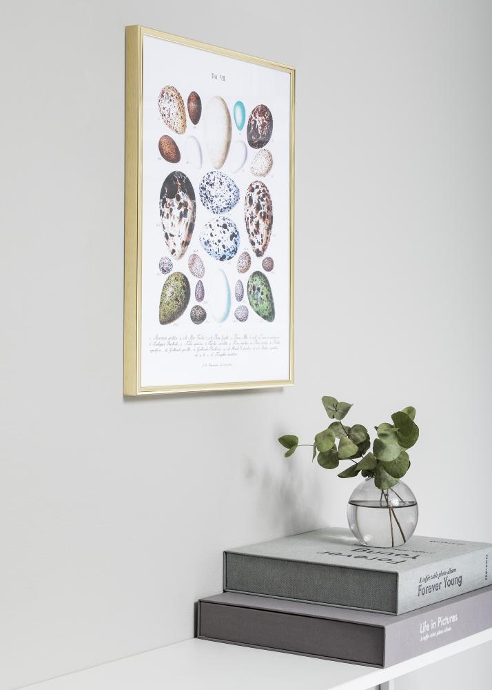 Ramme Nielsen Premium Classic Gull 50x70 cm