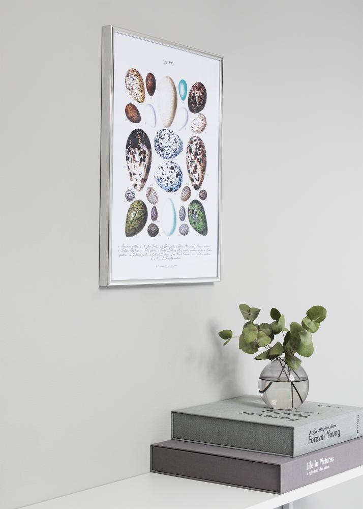 Ramme Nielsen Premium Classic Sølv 60x80 cm