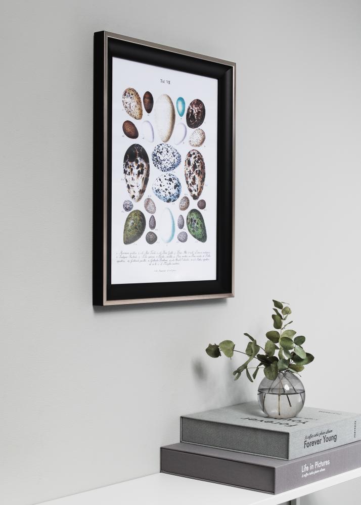 Ramme Öjaren Akrylglass Svart-Sølv 50x70 cm