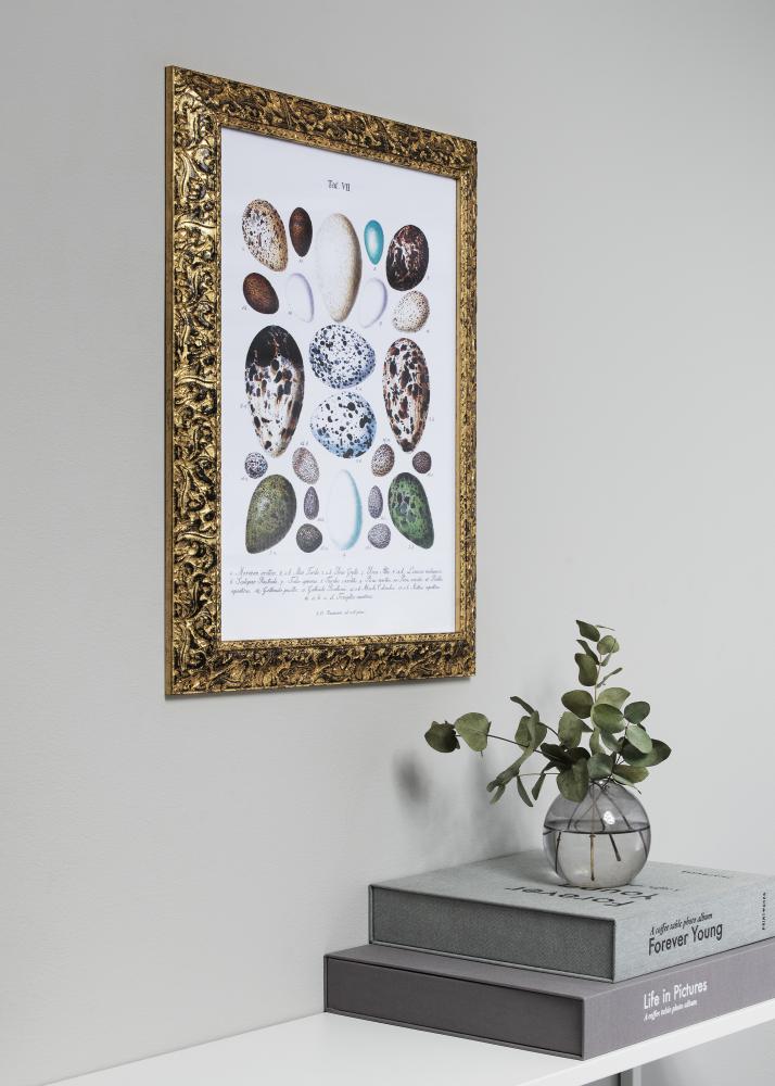 Ramme Ralph Gull 50x70 cm