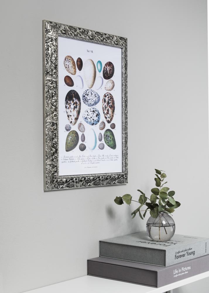 Ramme Ralph Sølv 50x70 cm