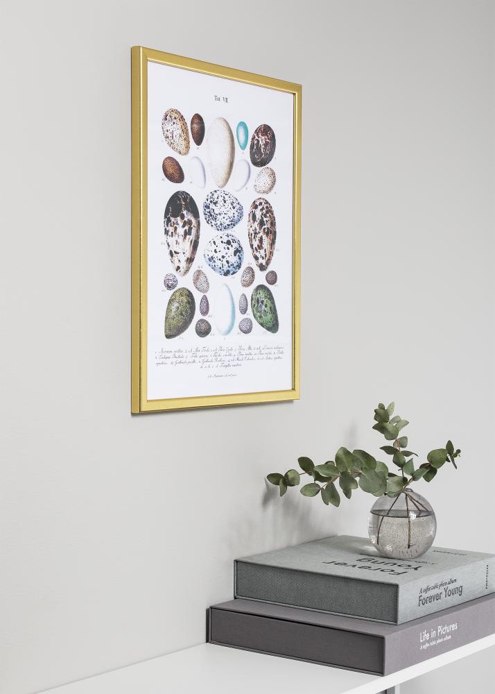 Ramme Slim Matt Antirefleksglass Gull 13x18 cm