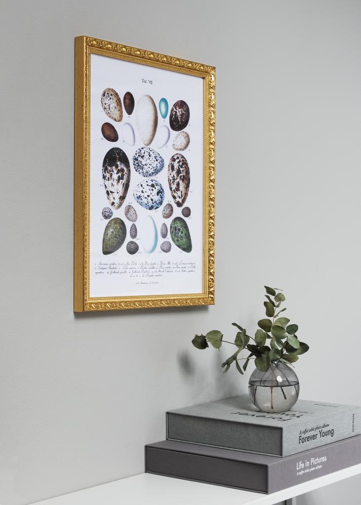 Ramme Smith Gull 25x35 cm