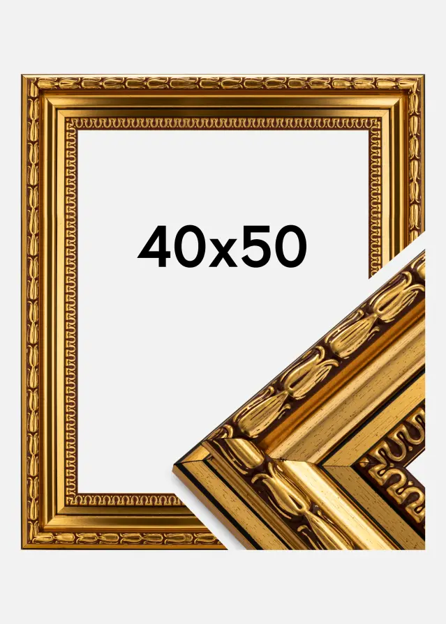 Ramme Birka Premium Gull 40x50 cm