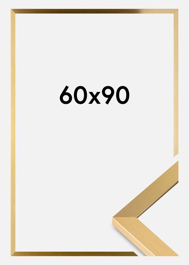 Ramme Selection Akrylglass Gull 60x90 cm