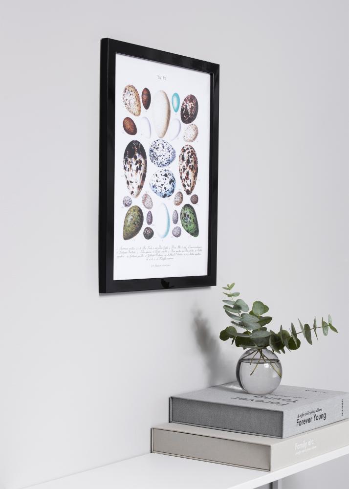 Ramme Uppsala Akrylglass Svart Høyglans 21x29,7 cm (A4)