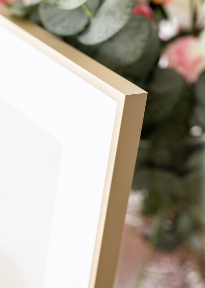 Aluminiumsramme Akrylglass Messing 42x59,4 cm (A2)