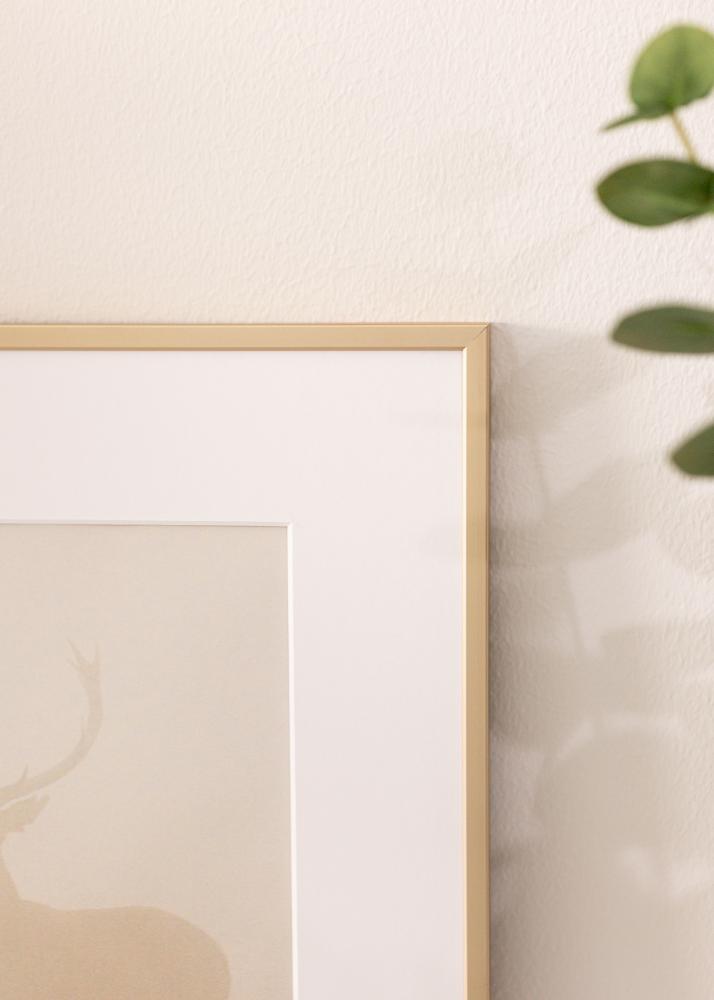 Aluminiumsramme Akrylglass Messing 42x59,4 cm (A2)