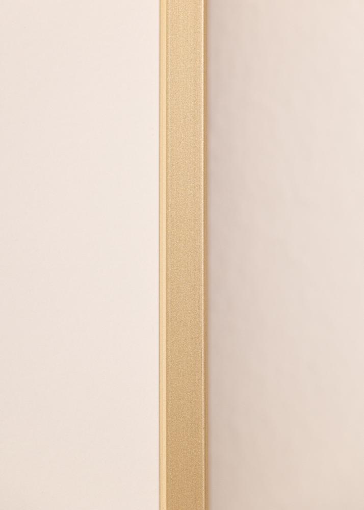 Aluminiumsramme Akrylglass Messing 42x59,4 cm (A2)